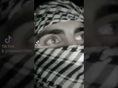 الشامي وتزيد هم وشقى الشامي