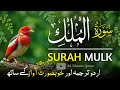 Surah Mulk with Urdu Translation | Beautiful & Heart Touching Recitation | Qari Mansoor Ghaznavi