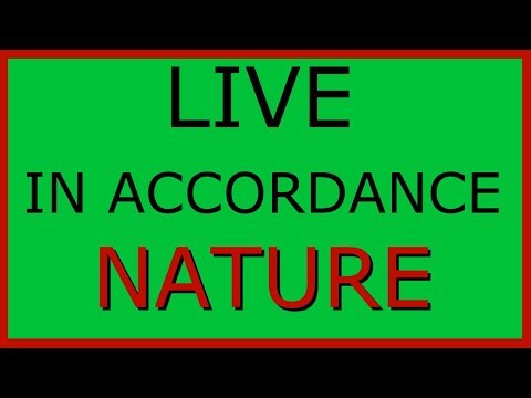 Видео: Может ли eudaimonia быть существительным?