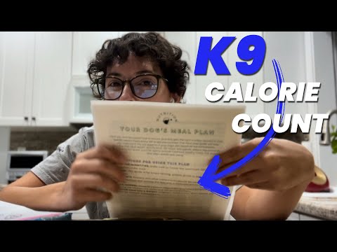 How to Calculate Your Dog's Daily Caloric Needs Essential Guide for Pet Owners
