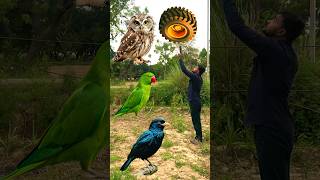 Rounding yellow tyre to Parrot, Pigeon,Duck &amp; peacock - Birds names magic video #vfxpravinlodhi