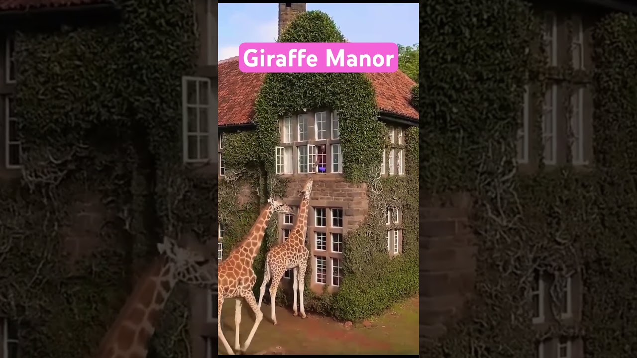 The Most Unique Hotels Around The World