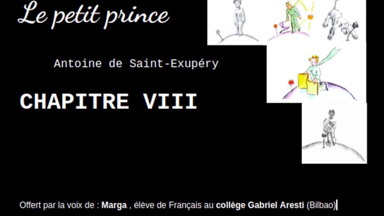 LE PETIT PRINCE Chapitre VIII - YouTube