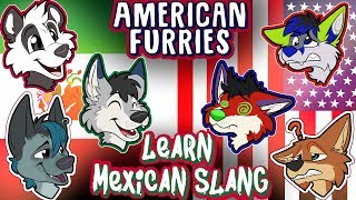 American Furries Learn Mexican Slang