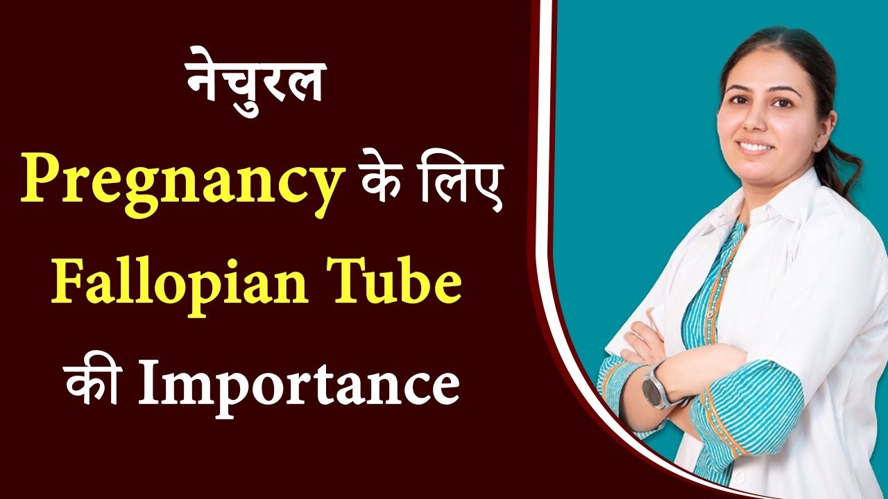 Importance of Fallopian Tube for Natural Pregnancy Fallopian Tube