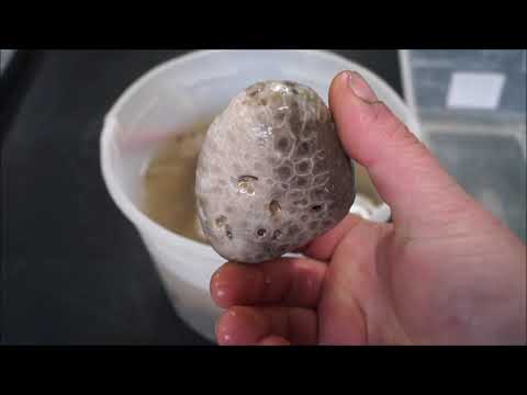 Video: Bagaimana cara memoles batu petoskey dengan dremel?