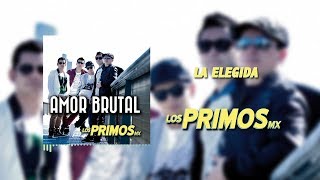 Video thumbnail of "La Elegida - Los Primos MX  [Audios] [Amor Brutal]"