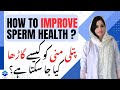 How To Improve Sperm Health پتلی منی کو کیسے گاڑھا کیا جا سکتا ہے Dr Khalood Imran How To Improve Sperm Health پتلی منی کو کیسے گاڑھا کیا جا سکتا ہے Dr Khalood Imran