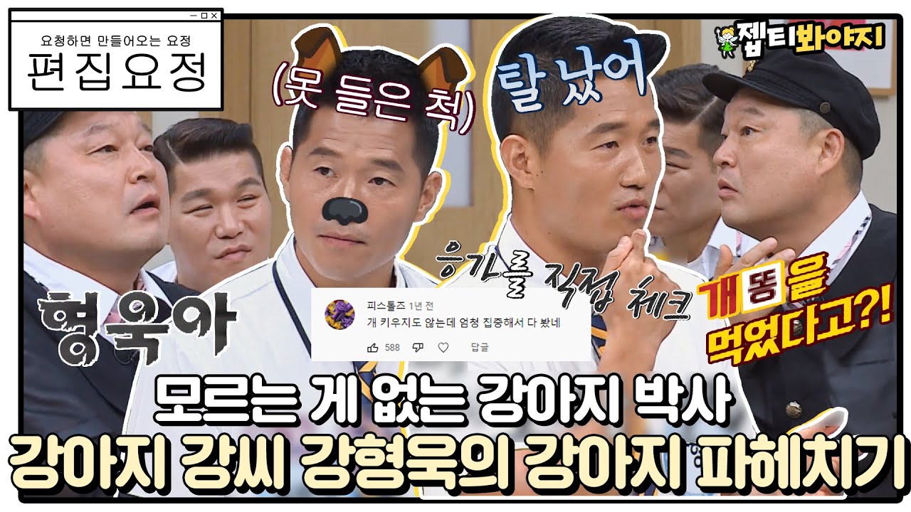 [편집요정][#요청댓] 강아지 박사 강아지 강씨 강형욱씨 모아왔어요◞.*✧ㅣ아는형님ㅣJTBC 190824 방송