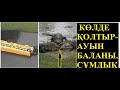 БІР ТОП  БАЛА ТИЕГЕН АВТОБУС КӨПІРДЕН   ҚҰЛАП  КЕТКЕН.. ОЛ КӨЛДЕ  ҚОЛТЫРАУЫН  ҚАПТАП ЖҮР ЕДІ.