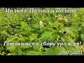 Малина&quot;Полька и Полана&quot;