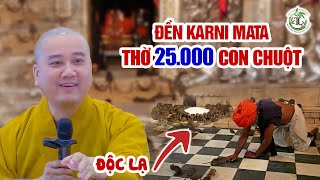 ảnh ĐỘC LẠ chuyện thờ 25000 CON CHUỘT tại ngôi đền ở Ấn Độ - Thầy Thích Pháp Hòa