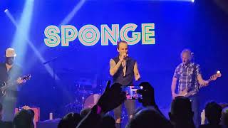 Sponge - Plowed (Portland) 4-11-24