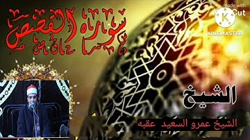 الشيخ عمرو السعيد ما تيسر من سوره القصص  القارئ بجمهوريه مصر العربيه