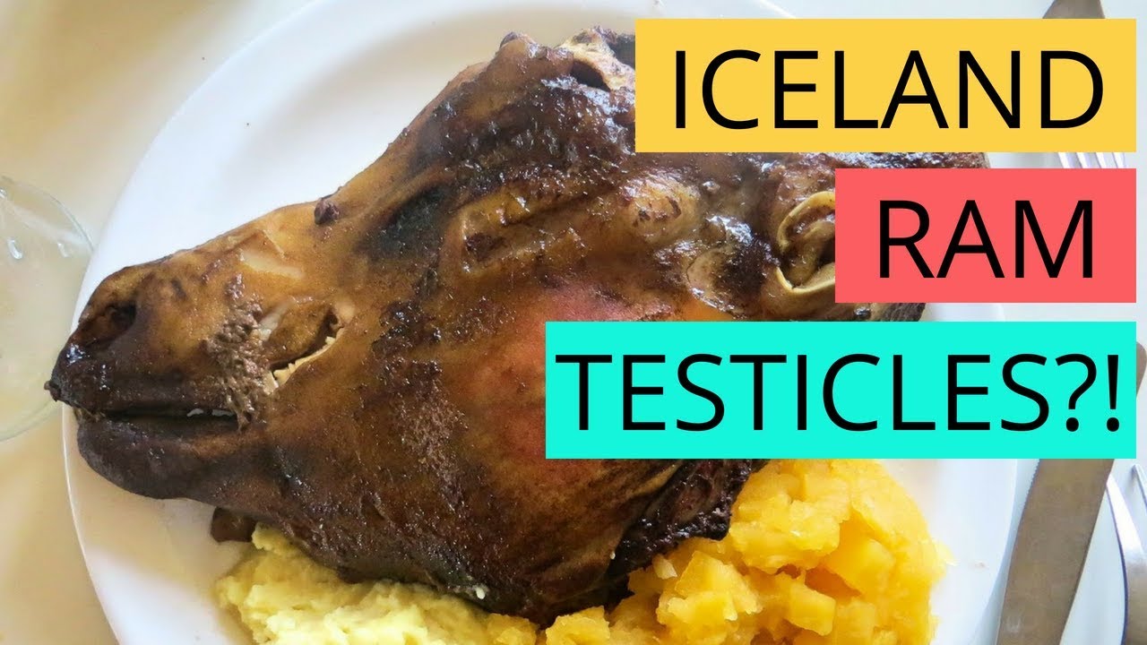 Icelandic Food Unique and Traditional Foods in Iceland YouTube