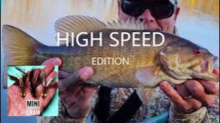 Fly Tying: A Quick, Easy and Highly Productive Streamer the Mini Craw (HIGH SPEED EDITION)