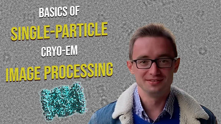 Basics of single-particle cryo-EM image processing