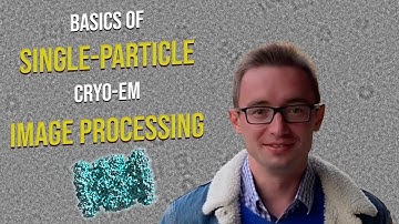 Basics of single-particle cryo-EM image processing