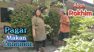 Download Lagu PAGAR MAKAN TANAMAN cover by Abah Rokhim MP3