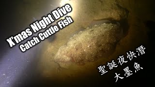 聖誕夜快潛 大墨魚 X'mas Night Diving Catching Cuttle Fish By Hands. 聖誕夜快潛 大墨魚 X'mas Night Diving Catching Cuttle Fish By Hands.