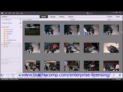 Adobe Photoshop Elements 12 Tutorial The Organizer Employee Group Training  2.5