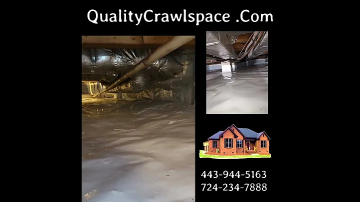 Awesome Work #crawlspaceencapsulation #basementwaterproofing #viralvideo