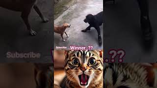 Sunday chill time 🤣 OMG Funny Aura Funk 😂 #funny #funnyvideos #funnyshorts
