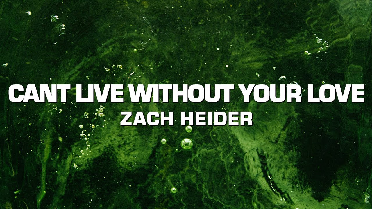 Zach Heider - cant live without your love