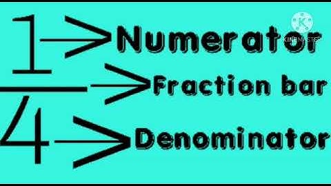 MLZS JHANSI CLASS 3 Mathematics Chapter 6 Fractions Lecture 1