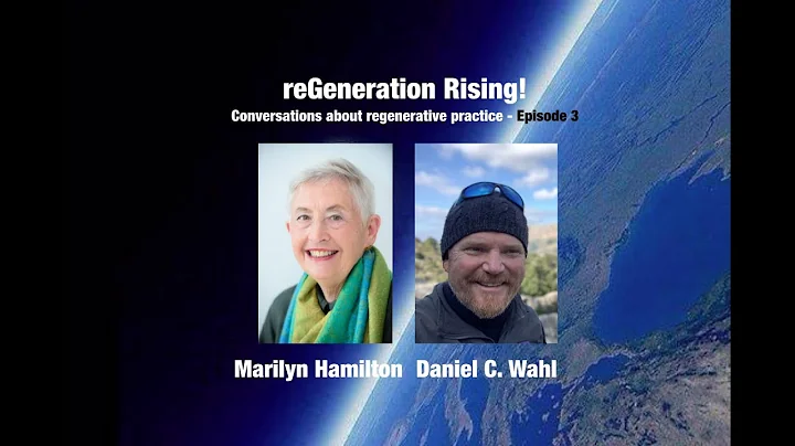 Integral Cities & Regional Regeneration - Marilyn ...