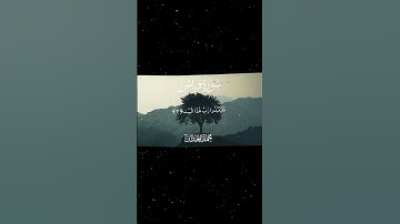 سورة قريش|1-4|القارئ:#محمد_اللحيدان #قران #quran  #قران_كريم #تلاوة #تلاوة_هادئة #آية #تلاوة_خاشعة