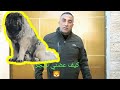 بالفيديو شاهد اذا هاجمك كلب قوقازي ماذا تفعل اقراء الفاتحه مع جمال العمواسي