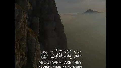 حالات واتس آب دينية - قرآن - تلاوة من سورة النبأ - القارئ عبدالرحمن مسعد - Quran