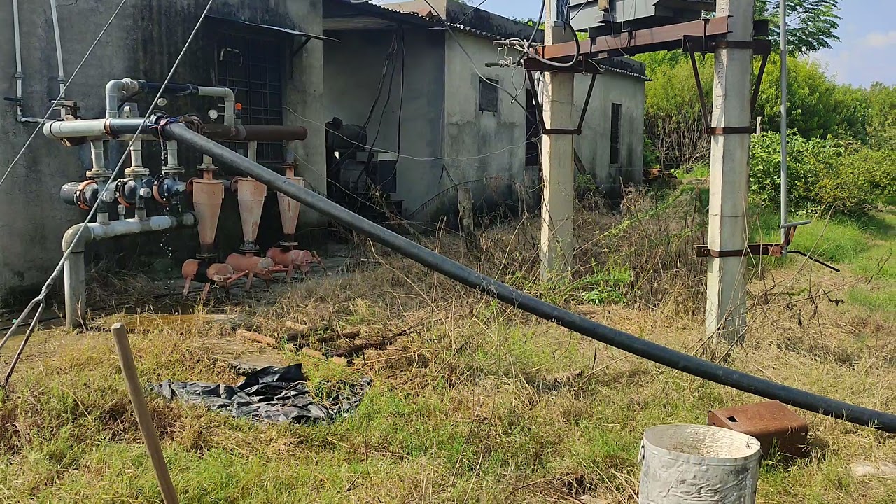 14.5 acre fruit orchard for sale near chabewal Hoshiarpur Punjab contact 9876021123