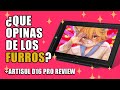 ¿Qué OPINAS de los FURROS? Dibujo uno por PRIMERA VEZ! +ARTISUL D16 Pro Review