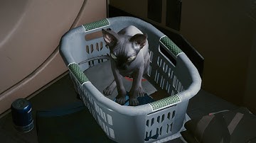 Cyberpunk 2077 How to Get Nibbles The Cat