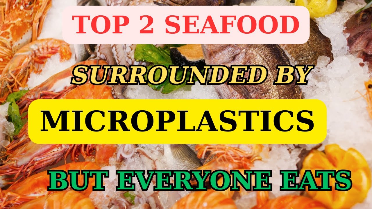 Top 2 seafood overwhelmed by microplastics but still on your plate!