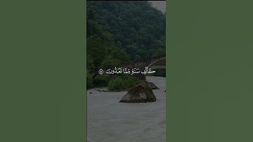 قرأن كريم أيات من سورة الحج تلاوة جميلة من القارئ عبدالرحمن مسعد