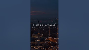 تلاوة جميلة من القارئ ياسر الدوسري/ سورة النجم