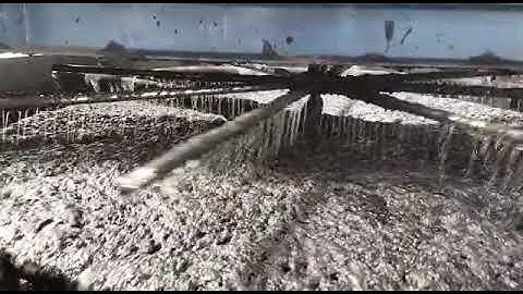 fine call separation by column flotation