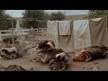 Tremors: The Series - All Creatures Deaths