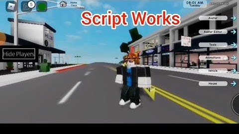 HIDE PLAYERS SCRIPT played at ROBLOX BROOKHAVEN, FENCING and NATURAL DISASTER SURVIVAL game