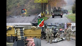 2025 Celtic Storm - Das Artillerielehrbataillon 345 Übt Freilaufend In Der Pfalz - Teil 13