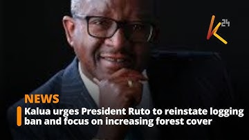 Kalua urges President Ruto to reinstate logging ban and focus on increasing forest cover