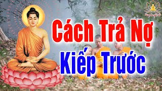 Chịu Khổ Chính Là Đang Trả Nghiệp, Nghe Lời Phật Dạy Để Biết Cách Trả Nghiệp Kiếp Trước Sống Bình An