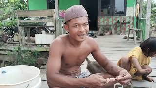 Download Lagu CERITA DUA PASANGAN TRANSMIGRAN MUDA, DARI PEMUKIMAN TRANSMIGRASI KALIMANTAN MP3