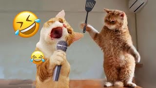 Best Funny Animals 2024 😍 Funniest Dogs and Cats 😻🐶 by Pet JC Boy  31 views 2 months ago 35 minutes