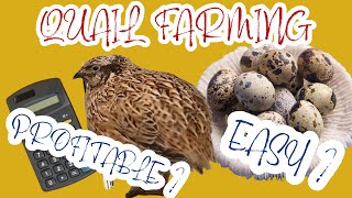 Quail Egg Farming How Easy And Profitable Is It Really? A Beginners Guide