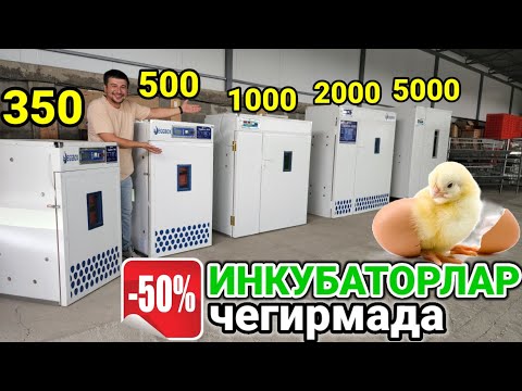 EGGBOX 🐣 дан МЕГА АКЦИЯ ИНКУБАТОРЛАР 50% чегирма улгуриб қолинг🤗