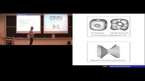 Tobias Colding (MIT): 3/3 Optimal regularity for geometric flows [Coxeter Lecture Series 2017]